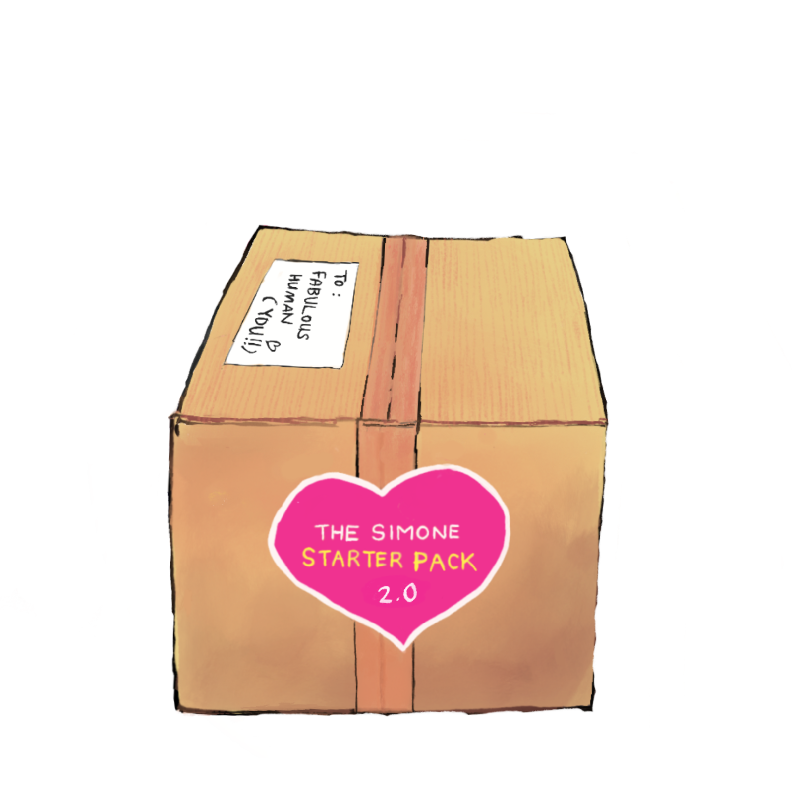 The Simone Starter Pack, boxed up and ready.